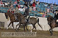 10yn-07047 thumbnail