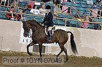 10yn-07049 thumbnail