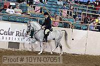 10yn-07051 thumbnail