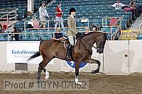 10yn-07052 thumbnail