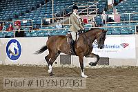 10yn-07061 thumbnail