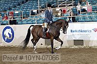 10yn-07066 thumbnail