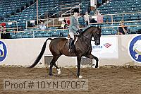 10yn-07067 thumbnail