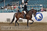 10yn-07069 thumbnail