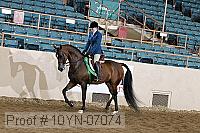 10yn-07074 thumbnail