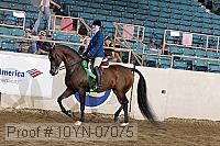 10yn-07075 thumbnail