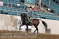10yn-07077 thumbnail