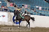 10yn-07078 thumbnail