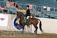 10yn-07086 thumbnail