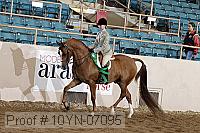 10yn-07095 thumbnail