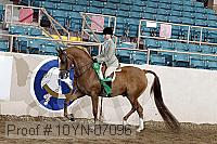 10yn-07096 thumbnail
