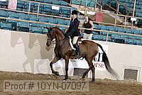 10yn-07097 thumbnail