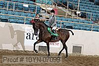 10yn-07099 thumbnail