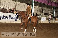 10yn-21402 thumbnail
