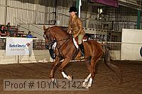 10yn-21422 thumbnail