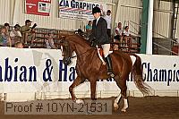 10yn-21531 thumbnail