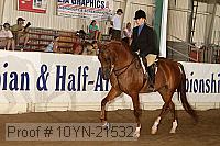 10yn-21532 thumbnail