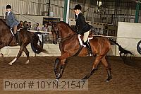 10yn-21547 thumbnail