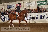 10yn-21574 thumbnail