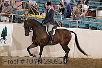 10yn-29095 thumbnail