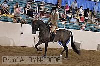 10yn-29096 thumbnail