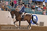 10yn-29097 thumbnail