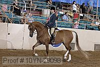 10yn-29098 thumbnail
