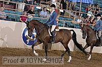 10yn-29102 thumbnail