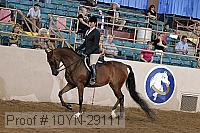 10yn-29111 thumbnail
