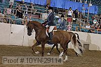 10yn-29114 thumbnail