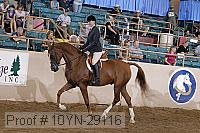 10yn-29116 thumbnail