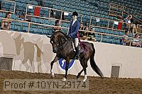 10yn-29174 thumbnail