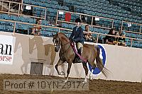 10yn-29177 thumbnail
