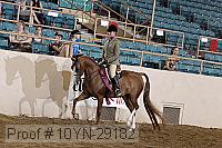 10yn-29182 thumbnail
