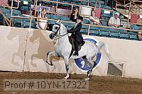 10yn-17322 thumbnail