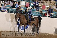 10yn-06200 thumbnail