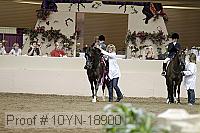 10yn-18900 thumbnail