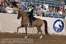 10yn-09422 thumbnail