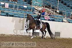 10yn-09439 thumbnail