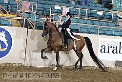 10yn-09459 thumbnail
