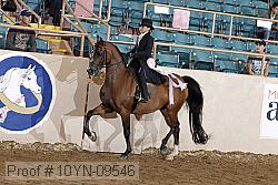 10yn-09546 thumbnail