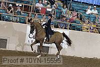 10yn-15595 thumbnail