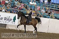 10yn-15598 thumbnail