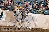 10yn-15599 thumbnail