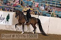 10yn-15608 thumbnail