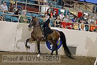 10yn-15610 thumbnail