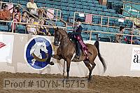 10yn-15715 thumbnail