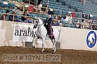 10yn-15722 thumbnail