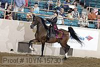 10yn-15730 thumbnail