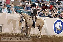 10yn-04232 thumbnail